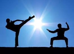 狼啸多伦多，VCT CN赛区播出的种子长成参天大树